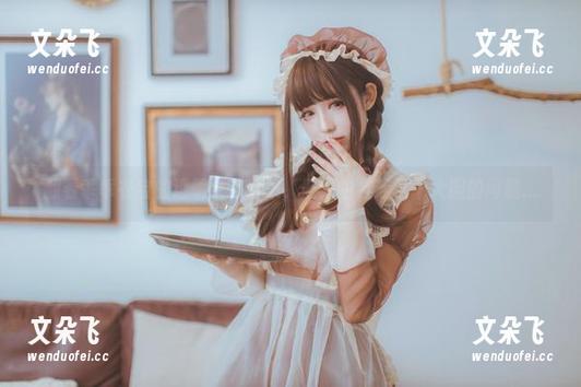 翻看乖乖衣宝的透明女仆合集，脑海中挂起了个大胆的问题...