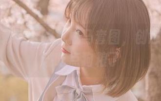 分享名赖弥七的机械马套图，创意够了，该吃点狗粮了