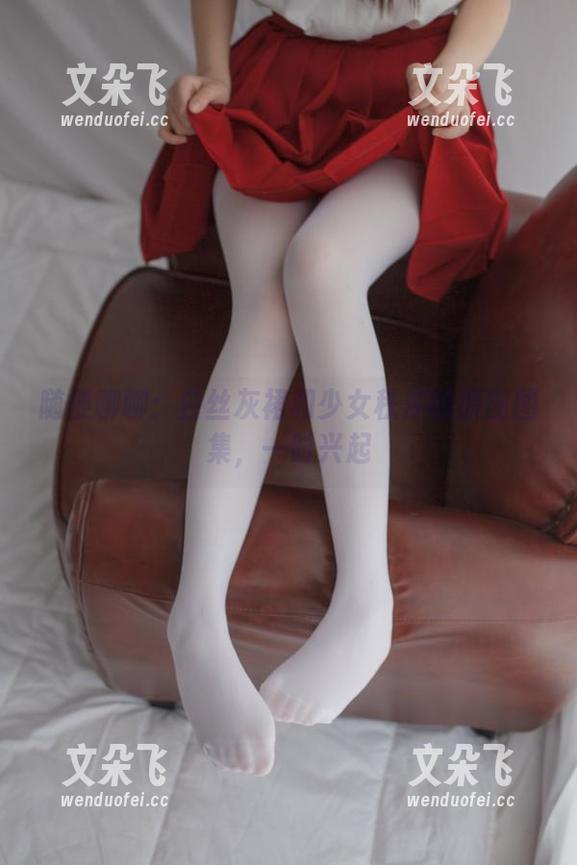 少女秩序 随便聊聊:白丝灰裙和少女秩序的原图图集,一时兴起