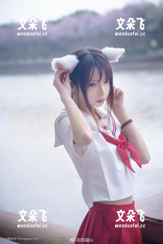 疯猫ss专属定制旅拍：画面中那只跳跃的猫，大概是觉得猫粮买少了吧！