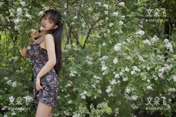 黑猫猫ovo与少女心事：这是个彻底的cos合集嘛？